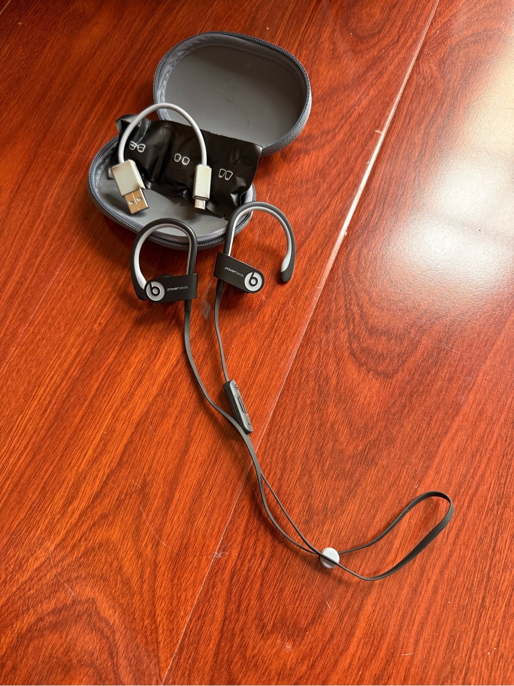 Beats Powerbeats Earphones